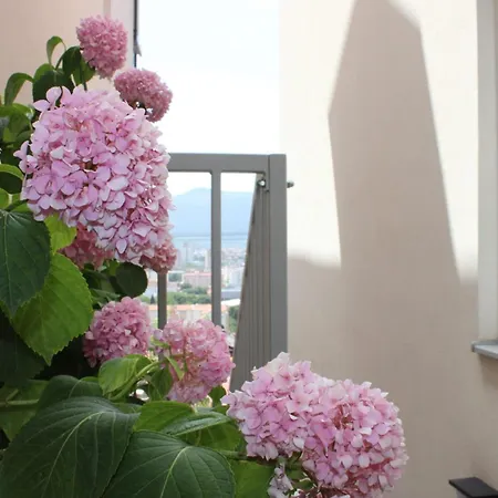 Merry Harmony Heights - Balcony & Free Garage & Parking Appartamento *