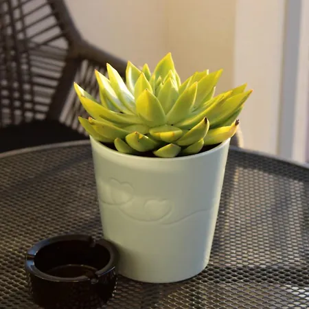 Merry - Free Garage & Parking アパート *