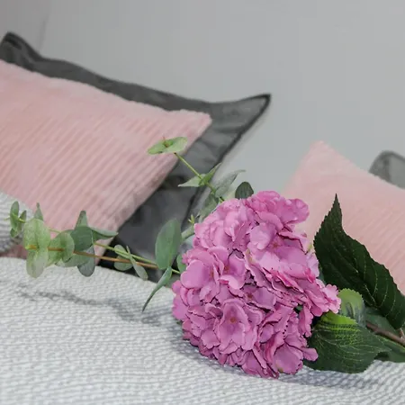 Merry - Free Garage & Parking Διαμέρισμα *