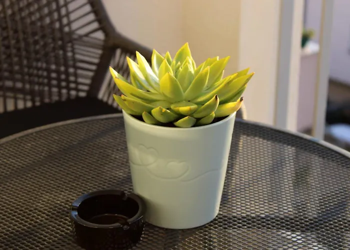 Merry Harmony Heights - Balcony & Free Garage & Parking Appartement *